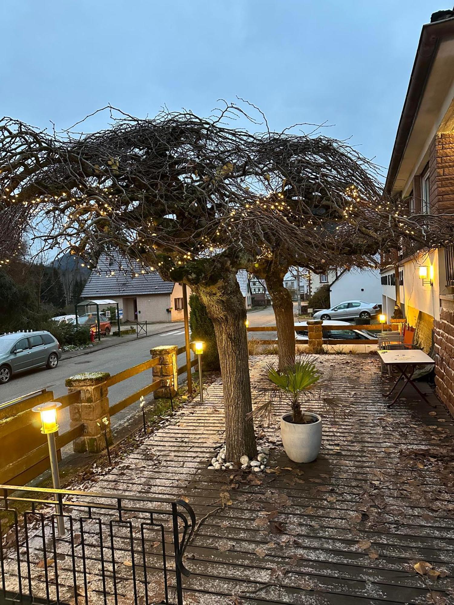 Bed and Breakfast Au Wachtfels Obersteinbach Exterior foto